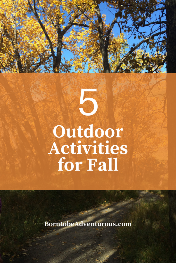 Outdoor Activities for Fall